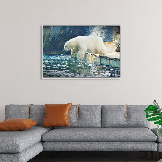 "Polar Bear in the Water"