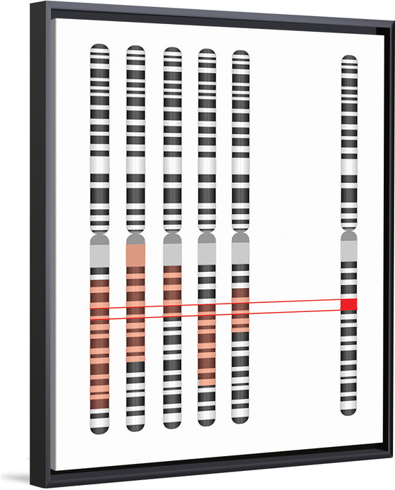 "Disease Gene Mapping with Multiple Chromosomes"