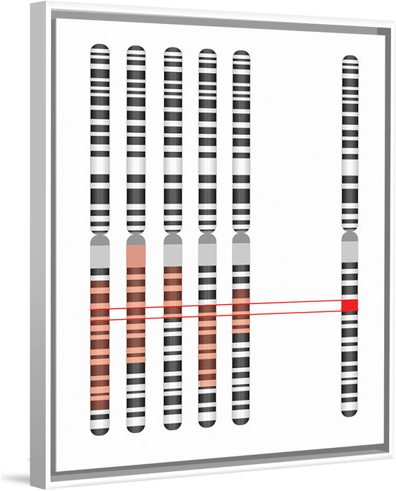 "Disease Gene Mapping with Multiple Chromosomes"