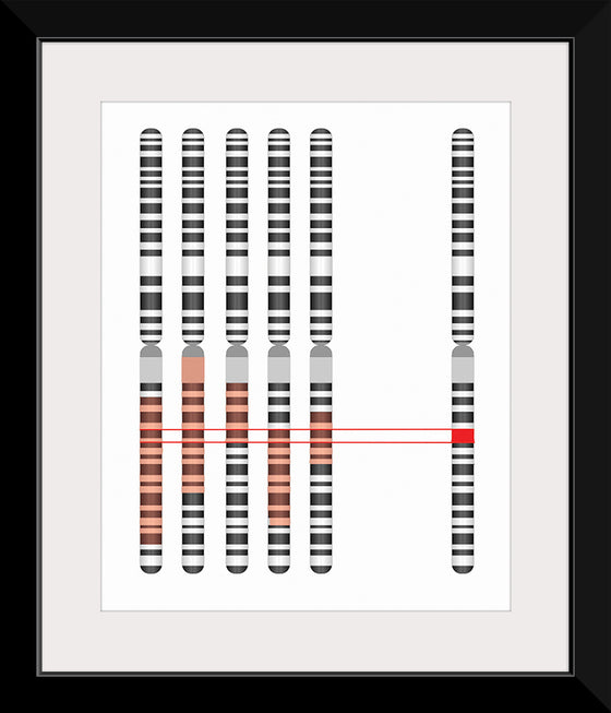 "Disease Gene Mapping with Multiple Chromosomes"