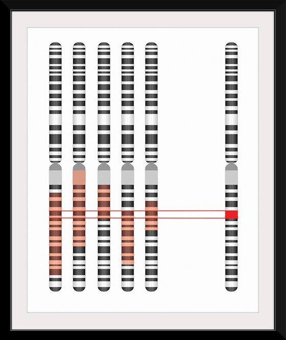 "Disease Gene Mapping with Multiple Chromosomes"