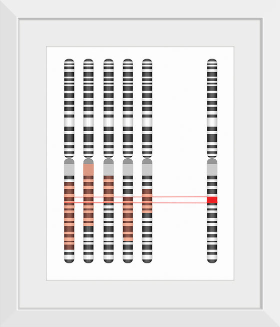 "Disease Gene Mapping with Multiple Chromosomes"