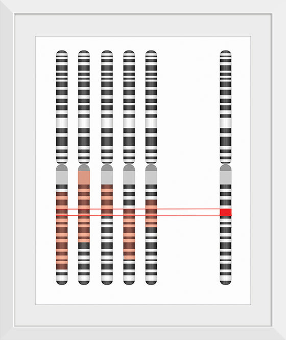 "Disease Gene Mapping with Multiple Chromosomes"