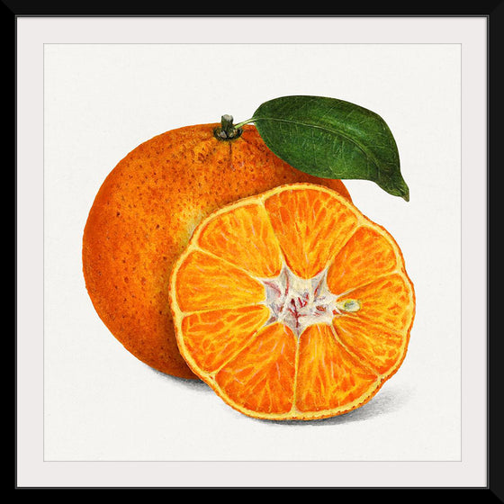 "Delicious Orange"