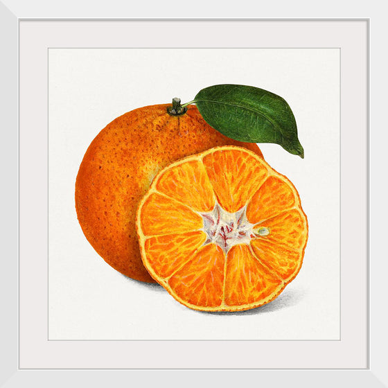 "Delicious Orange"