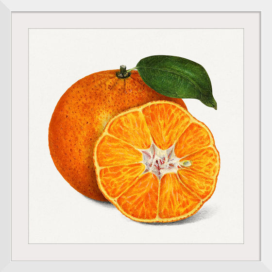 "Delicious Orange"