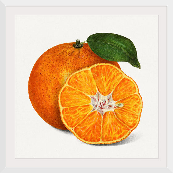 "Delicious Orange"