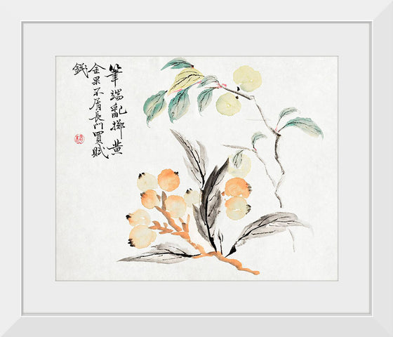 "Loquat Tree of Japan", Tsubaki Chinzan