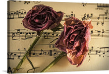  Adorn your space with the mesmerizing harmony of nature and music encapsulated in this exquisite print. Two dried roses, their petals a delicate dance of purples and browns, rest gracefully against a backdrop of vintage sheet music. Every note and petal tells a story of timeless elegance, evoking a symphony of emotions that resonate with the soul. 
