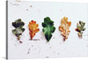 This artwork is a serene celebration of nature’s ever-changing beauty. It features five distinct leaves, each at a unique stage of life, laid out against a pristine white backdrop. The leaves, showcasing a spectrum of colors and textures, symbolize the dance of seasons. From the vibrant green of life to the frosty decay of winter, this print captures the essence of change. 