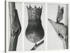 “Urformen der Kunst (1928)” by Karl Blossfeldt invites you into a mesmerizing botanical realm. This triptych of black-and-white photographs celebrates the intricate beauty of nature’s design. Each frame reveals a close-up view: delicate leaf veins, textured seed pods, and gracefully curving stems.