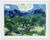 "Olive Trees with the Alpilles in the Background (1889)", Vincent Van Gogh
