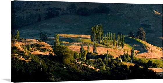 “Frankton Sunrise, Otago” is a captivating artwork that captures the first light of dawn illuminating the rolling hills of New Zealand’s South Island. The painting features a serene landscape with meticulously lined poplar trees and contrasting shadows.