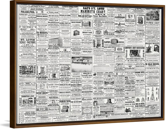 "Rae's St. Louis Mammoth Chart (1849)"