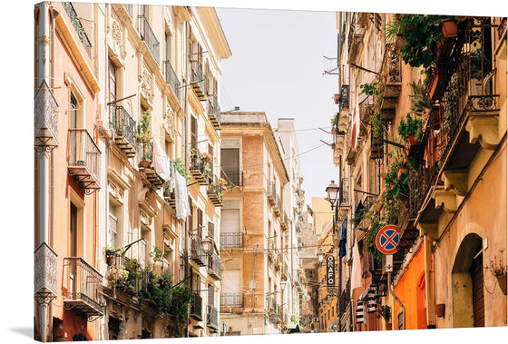 Immerse yourself in the enchanting allure of “Neighborhood in Cagliari” by Roman Kraft. This exquisite print captures a serene moment on a sun-drenched street in Cagliari, where time seems to stand still and every corner is steeped in history. The warm hues of the buildings, adorned with charming balconies and flourishing plants, invite viewers into a world where old-world charm meets tranquil beauty.