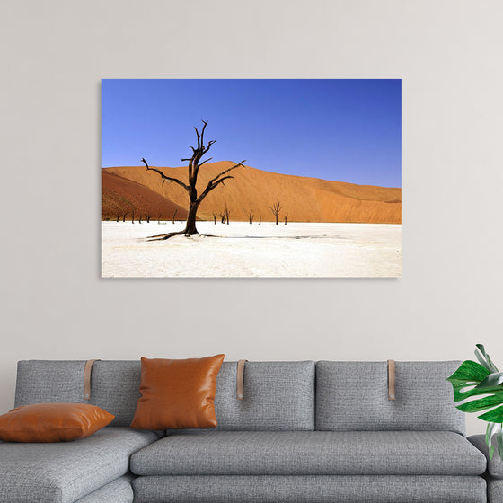 "Desert in Namibia"