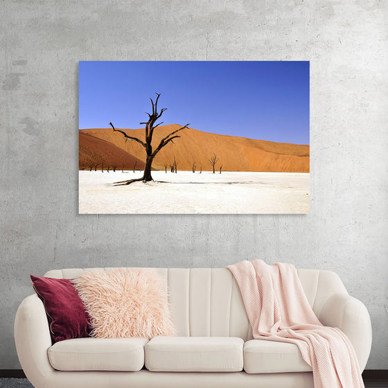"Desert in Namibia"