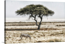  Immerse yourself in the serene beauty of the “View of Etosha Pan” print. This exquisite piece captures a tranquil moment in the heart of Africa, where a lone zebra grazes beneath the expansive branches of an iconic acacia tree. 
