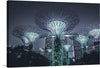 “Night Show at Supertree Grove in Singapore” is a limited edition print that captures the mesmerizing dance of lights and architecture. The artwork features the iconic Supertree Grove at Gardens by the Bay in Singapore during nighttime. Several towering structures resembling trees are adorned with intricate lattice work that is illuminated in hues of calming greens and purples against the tranquil night sky, creating a mystical atmosphere. 