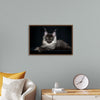 "Portrait of lying Maine coon cat"