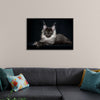 "Portrait of lying Maine coon cat"