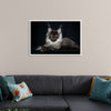 "Portrait of lying Maine coon cat"