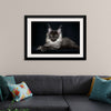 "Portrait of lying Maine coon cat"