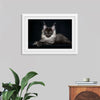 "Portrait of lying Maine coon cat"