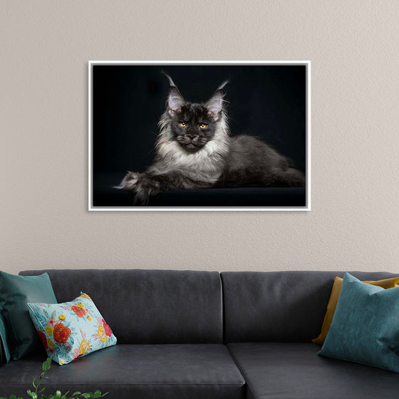 "Portrait of lying Maine coon cat"