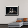 "Portrait of lying Maine coon cat"