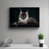 "Portrait of lying Maine coon cat"