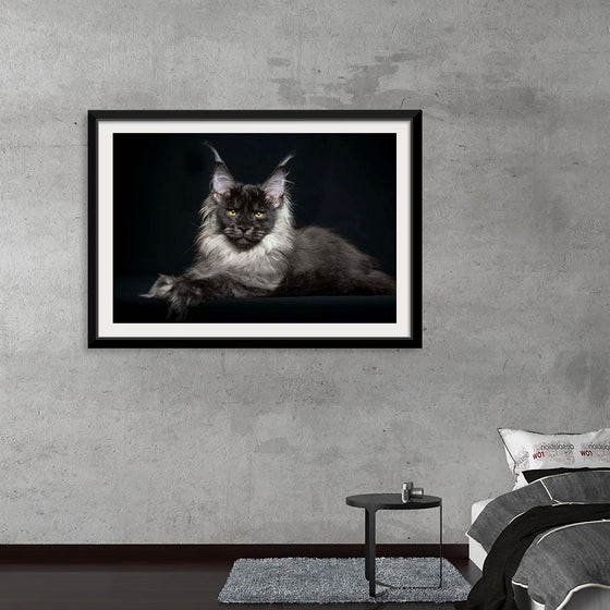 "Portrait of lying Maine coon cat"