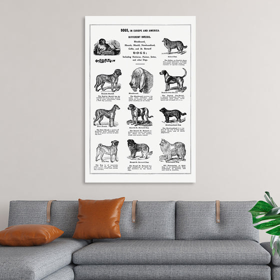 "Dog Breeds Poster", Thomas E. Hill