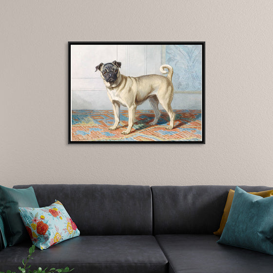 "Portrait of Edwin Vom Rath's Pug", Conradijn Cunaeus