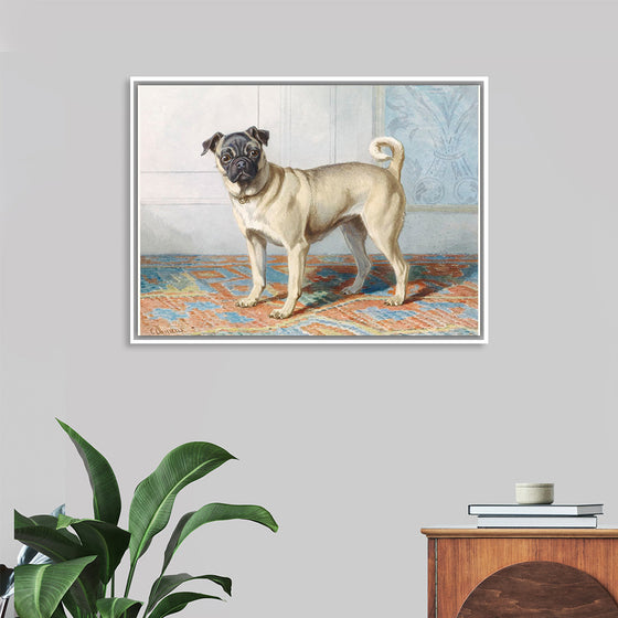 "Portrait of Edwin Vom Rath's Pug", Conradijn Cunaeus