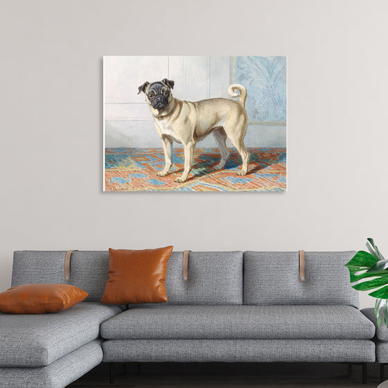 "Portrait of Edwin Vom Rath's Pug", Conradijn Cunaeus