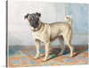 "Portrait of Edwin Vom Rath's Pug", Conradijn Cunaeus