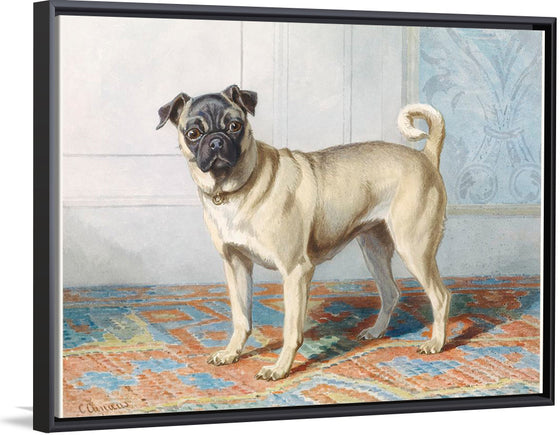 "Portrait of Edwin Vom Rath's Pug", Conradijn Cunaeus