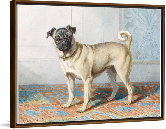 "Portrait of Edwin Vom Rath's Pug", Conradijn Cunaeus