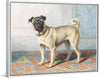 "Portrait of Edwin Vom Rath's Pug", Conradijn Cunaeus