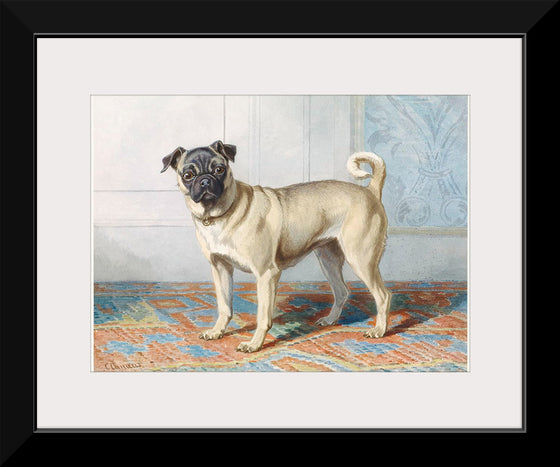 "Portrait of Edwin Vom Rath's Pug", Conradijn Cunaeus