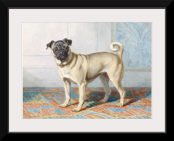 "Portrait of Edwin Vom Rath's Pug", Conradijn Cunaeus