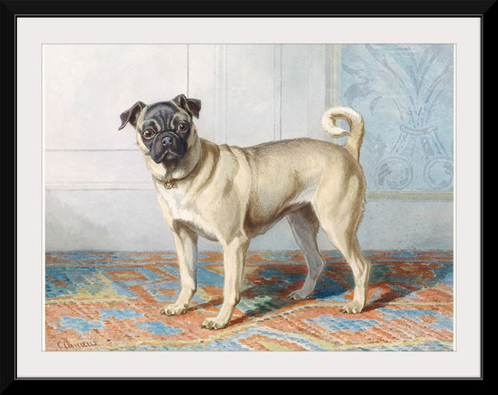 "Portrait of Edwin Vom Rath's Pug", Conradijn Cunaeus