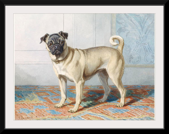 "Portrait of Edwin Vom Rath's Pug", Conradijn Cunaeus