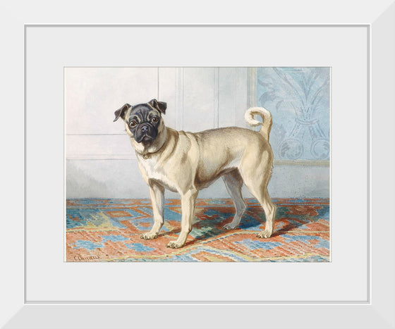 "Portrait of Edwin Vom Rath's Pug", Conradijn Cunaeus