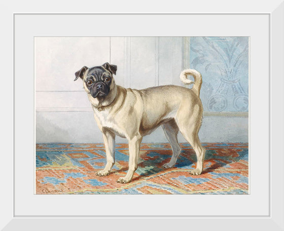 "Portrait of Edwin Vom Rath's Pug", Conradijn Cunaeus