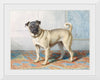 "Portrait of Edwin Vom Rath's Pug", Conradijn Cunaeus