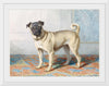 "Portrait of Edwin Vom Rath's Pug", Conradijn Cunaeus