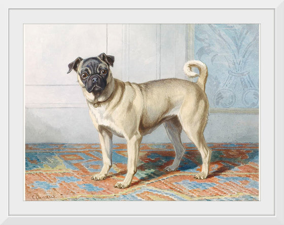 "Portrait of Edwin Vom Rath's Pug", Conradijn Cunaeus