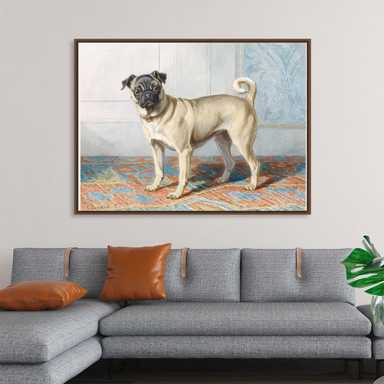 "Portrait of Edwin Vom Rath's Pug", Conradijn Cunaeus